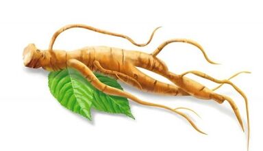 Ginseng to improve efficiency after 50 years