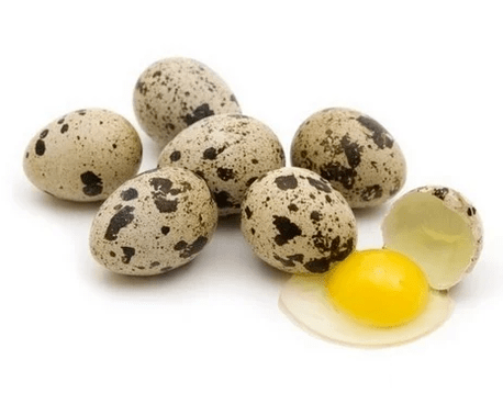 Quail